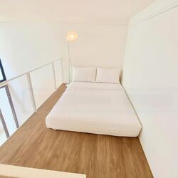 Thomson Park (D20), Terrace #460249501